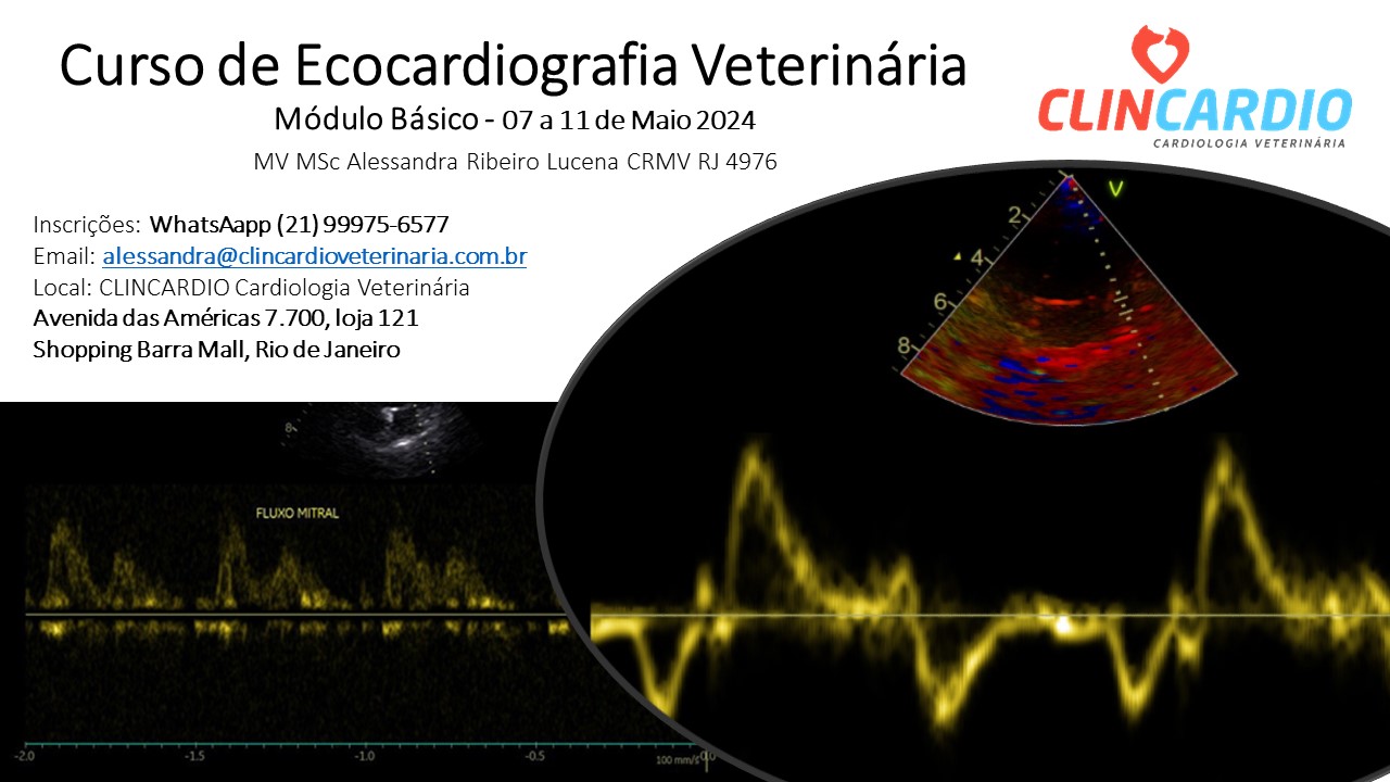 Curso Ecocardiografia